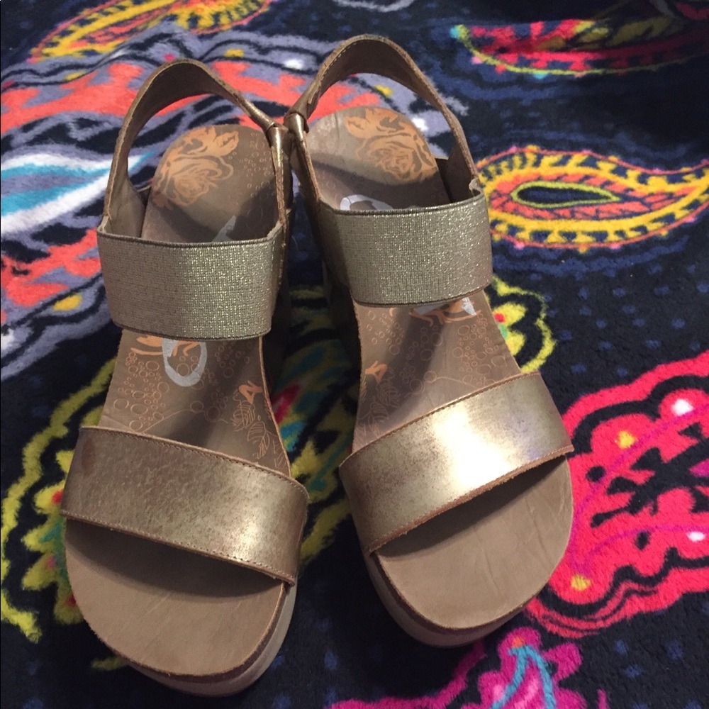 OTBT Bushnell Wedges